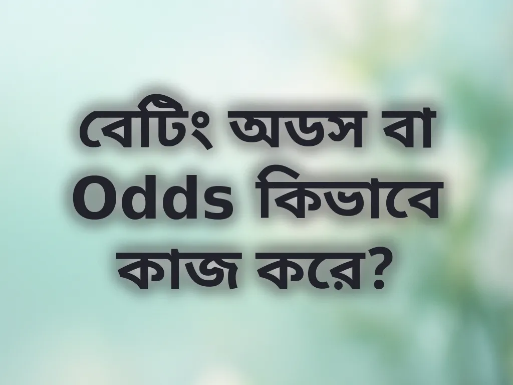 বেটিং অডস গাইড